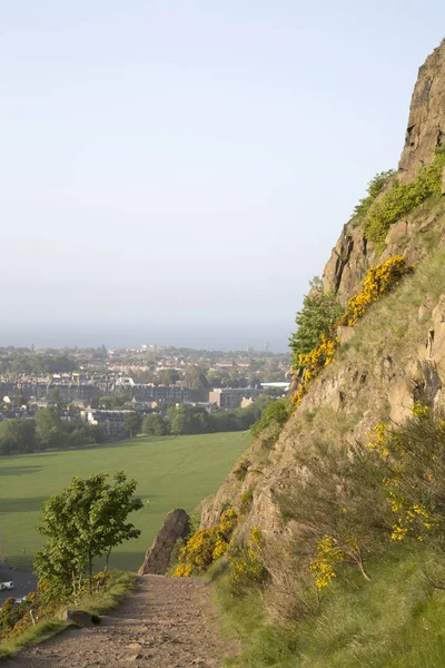 Patika üzerinde Salisbury Crags, Holyrood Park, Edinburgh