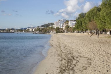 Pollenca Port Beach, Mayorka