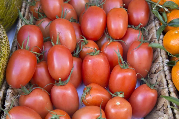 Tomates de ciruela roja —  Fotos de Stock