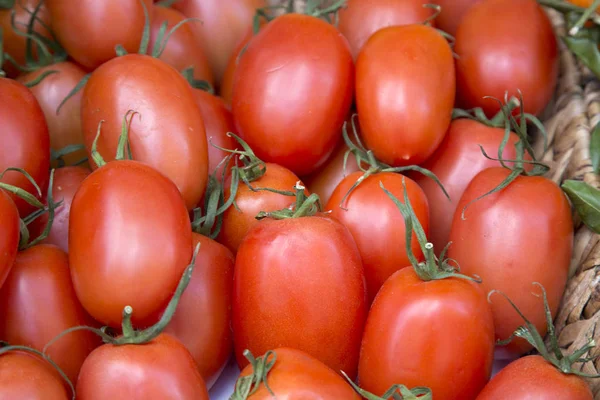 Tomates de ciruela roja en el puesto de mercado; Mallorca — Foto de Stock