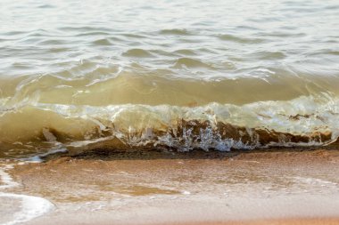 Dalga sıçramasına Shore