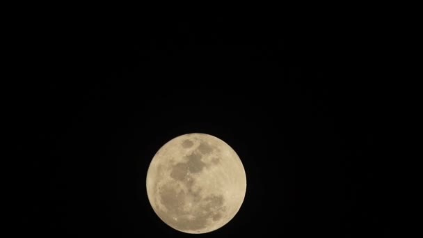 上昇の満月 — ストック動画