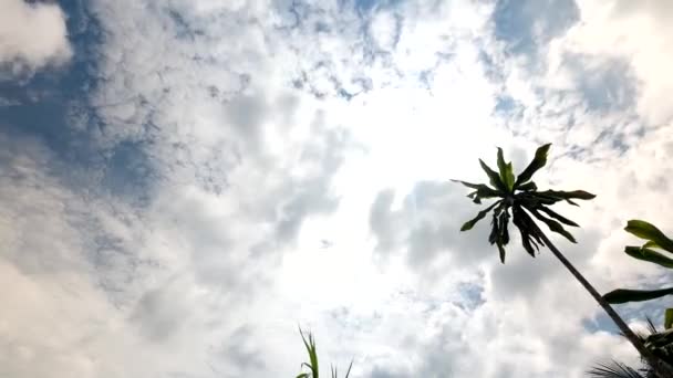 Tropical Sky Time Lapse Meio Dia — Vídeo de Stock