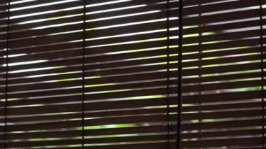 Muson mevsiminde bambumun dışında sağanak yağmur yağıyor.