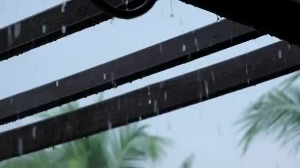 Muson Mevsiminde Arka Bahçedeki Ahşap Pergola Üzerine Sağanak Yağmur — Stok video