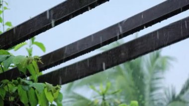 Tahta Pergola 1 'de Sağanak Yağmurweather condition