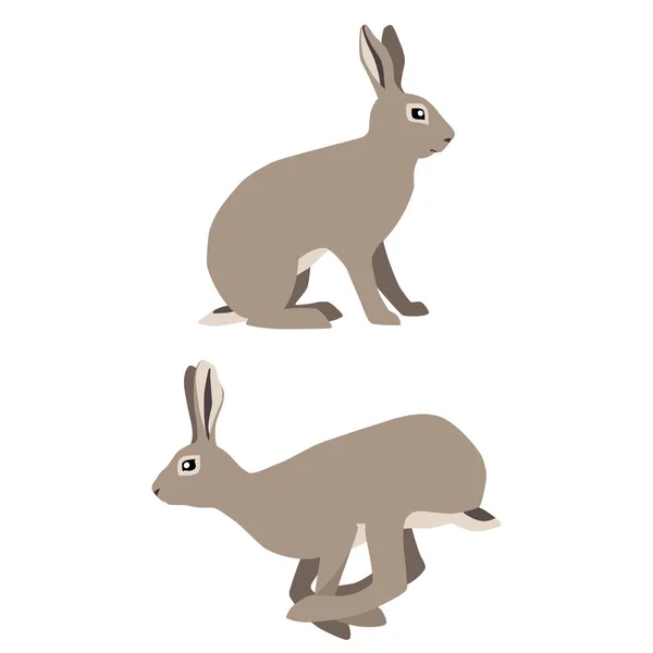 Sitting and jumping hares — Stock Vector