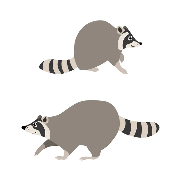 Mapaches sentados y caminando — Vector de stock