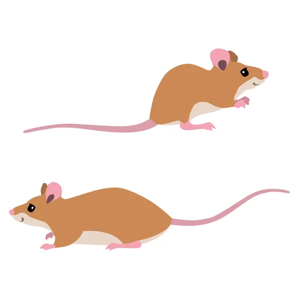 Dos ratones lindos — Vector de stock