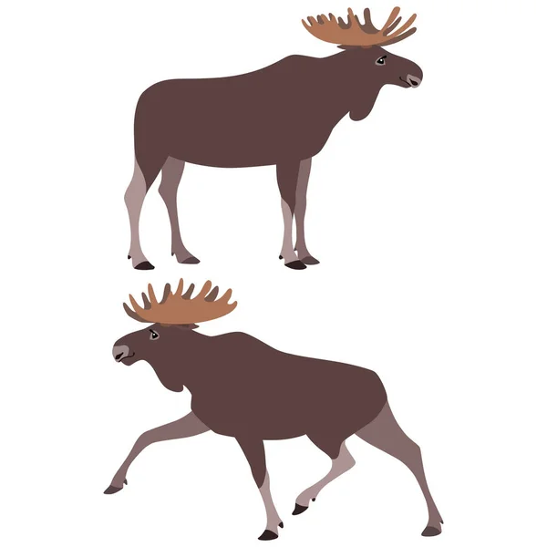 Standing and running moose — Stock Vector