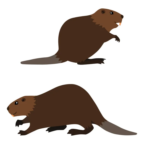 Two cute beavers — Stock Vector