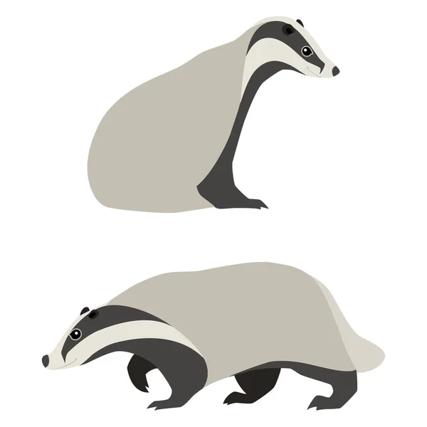 Two cute badgers — Stock Vector