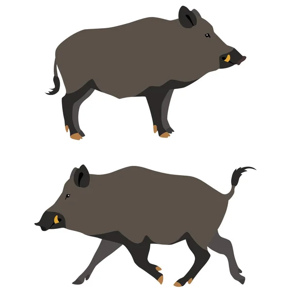 Zwei Zeichentrickschweine — Stockvektor