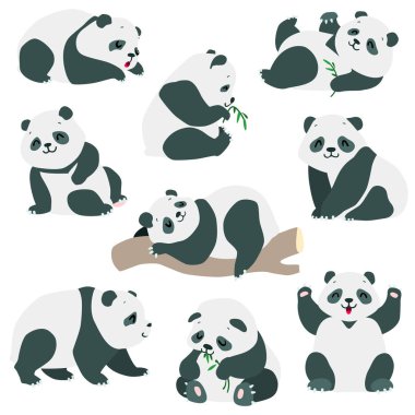 Panda hazır. Beyaz arka planda izole edilmiş şirin bebek pandaların karikatür çizimi. 8. Eps vektörü