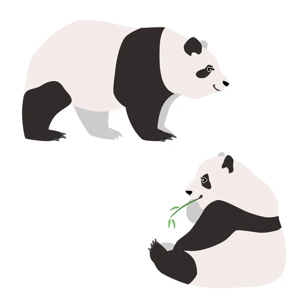 Dwie Pandy Ilustracja Stojących Siedzących Pand Narysowanych Płaskim Stylu Odizolowane — Wektor stockowy