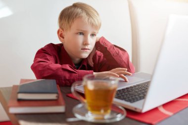 Açık laptop önünde oturan kırmızı gömlekli ciddi sarışın küçük çocuk çay içme ve kablosuz internet bağlantısı kullanarak gerekli bilgi arama konsantre bakışla ekran bakarak