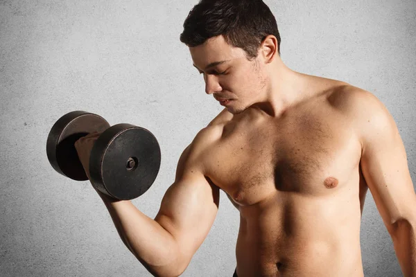 Forte fisiculturista muscular faz exercícios bíceps com halteres nas mãos, envolvidos no estilo de vida ativo saudável, isolado sobre fundo de concreto cinza. Motivação desportiva e conceito de aptidão . — Fotografia de Stock