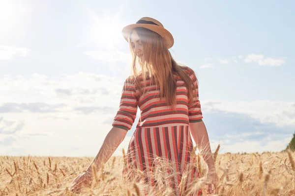 Horizontal imagem ao ar livre de concurso atraente modelo jovem olhando para o lado, posando no campo de trigo, tocando com as mãos talos de trigo, desfrutando de verão ensolarado Wheather. Conceito de pessoas e natureza — Fotografia de Stock