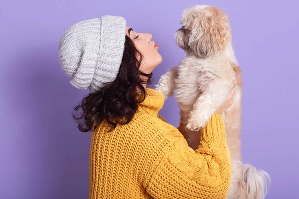 Estudio horizontal plano de atractiva joven alegre de pie aislado sobre fondo lila, sosteniendo a su perro maltés en las manos, besándolo, cariñosa mascota mucho. Concepto de personas y animales . —  Fotos de Stock