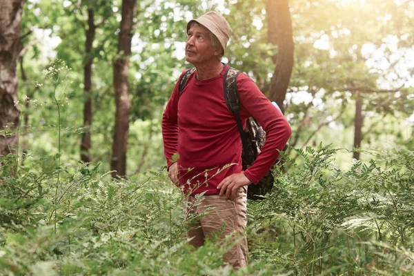 徒步旅行的男子在森林中远足，双手叉腰站在树间，凝视着前方，年长的男子穿着休闲装在树林中散步。 白人模特儿在大自然中摆姿势. — 图库照片