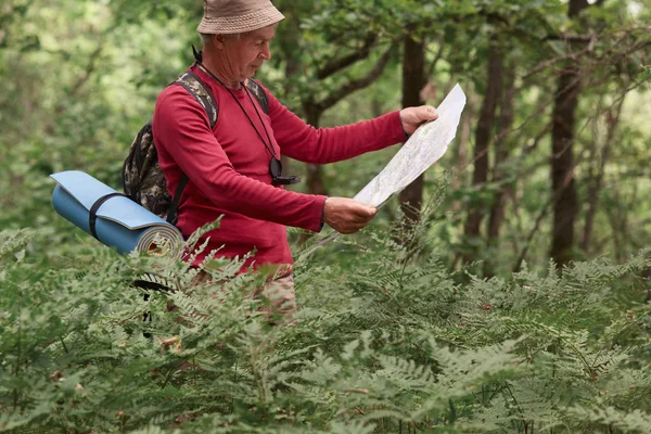 Muž s batohem a modrým kobercem čtení papírové mapy v lese, senior inspirovaný muž šaty červená košile stojí u stromů v lese a drží mapu při cestování s batohem, s dobrodružstvím. — Stock fotografie