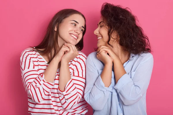 Retrato de estudio de dos chicas posando aisladas sobre fondo de rosa, lindos amigos mirándose con encantadoras sonrisas y admirando, manteniendo sus manos bajo la barbilla. Concepto de amor del mismo sexo . — Foto de Stock