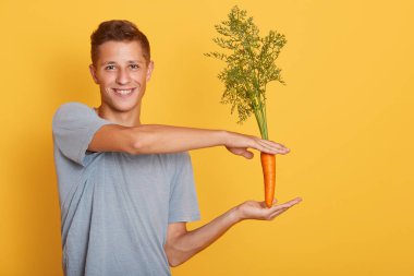 Sarı arka planda havuç tutan genç beyaz adamın portresini yakından çek. Stüdyoda gri tişört giyen erkek, kameraya gülümseyen adam. Sağlıklı yeme kavramı.