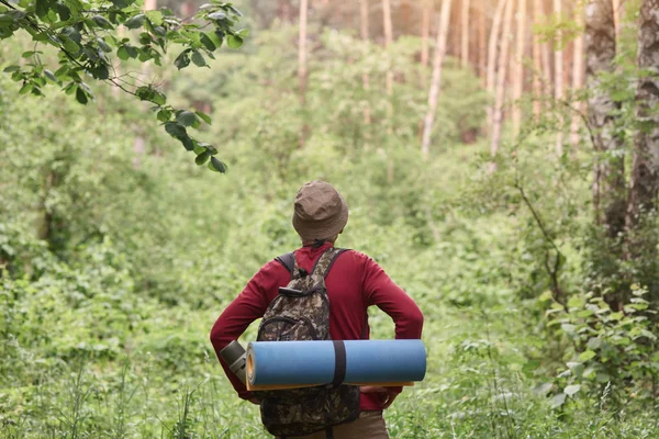 Hiking. Man wearing red sweater and cap in hike, having backpack and sleeping pad, looking towards. Sporty man hiking on green trees background. Rear view. Hiking, tourism, healthy lifeslyle concept.