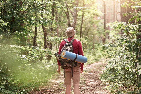 Back view of male hiker with backpack and sleepin pad on his back, walking in forest, being surrounded with green trees, wearing casual comfortable clothing. Adventure and traveling concept.