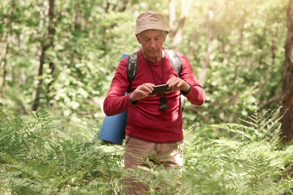 Venkovní záběr muže fotografování a video krásných míst přes mobilní telefon, dospělý muž pózuje na lesním pozadí, na sobě červený ležérní svetr, čepice, spací podložka na zádech. — Stock fotografie