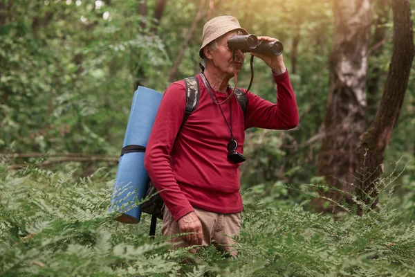 Obrázek staršího muže v červeném ležérním svetru a čepici, hraničáře nebo poutníka s binokulárním pozorovacím lesem, muže s batohem a rohožkou na spaní za zády. Koncept cestování a cestovního ruchu. — Stock fotografie
