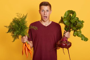 Önünde iki elinde sebze olan genç adamın yatay görüntüsü, sarı arka planda izole edilmiş poz, ağzı açık duruyor, şaşkın görünüyor, kestane rengi kazak gömlek giyiyor..