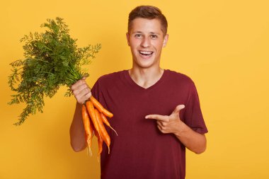 Neşeli genç bir adamın portresi taze sebzeleri işaret ediyor, bir elinde olgun havuçlar, büyüleyici bir gülümseme ile doğrudan kameraya bakıyor, sarı duvarın üzerinde.