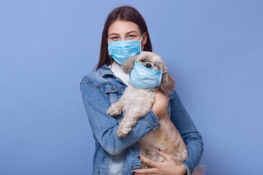 Tıbbi yüz maskesi takan genç, koyu renk saçlı bir kadının, mavi arka planda izole bir şekilde, köpeğinin maskesiyle birlikte durduğu bir stüdyo fotoğrafı. Coronavirus, covid 19, sağlık hizmeti konsepti.