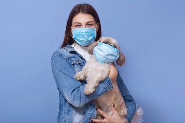 Kot ceket giyen ve koruyucu sağlık maskesi takan bir kadın köpeğini maskesine takmış mavi stüdyo arka planında izole bir şekilde poz veriyor. Coronavirus hastalığı COVID-19, insanlar ve hayvanlar için tehlikeli..