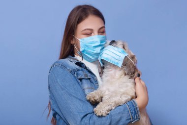 Tıbbi maskeli bir kızın portresi, koruyucu maskeli bir köpek, mavi arka planda izole edilmiş. Akut solunum yolu enfeksiyonu. Salgın önlemi, koronavirüs, covid 19..