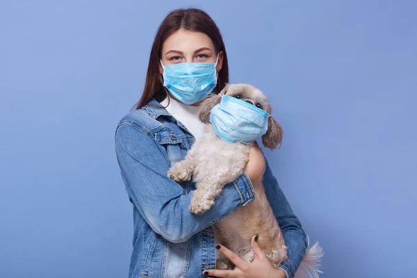 Woman wearing denim jacket and protective medical mask holding dog pet in face flumask, posing isolated over blue studio background. Coronavirus disease COVID-19, dangerous for people and pets.