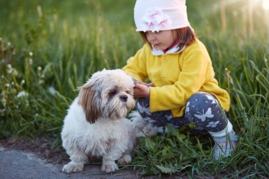 Küçük sevimli kız yolun kenarına çömeliyor ve köpeği Pekin 'i okşuyor, çayırda evcil hayvanıyla oynayan sarı ceketli ve şapkalı çocuk en sevdiği köpeğiyle vakit geçiriyor. Çocuk konsepti.