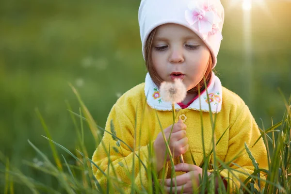 Cute Little Girl Holding Dandelion Hands Blowing Posing Green Meadow — Stock Photo, Image