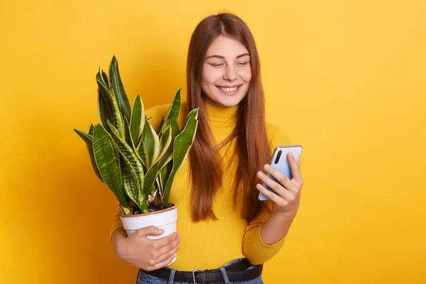 Horizontal shot of happy smiling woman wearing yellow shirt, holding phone in hands and pot with flower, posing isolated over bright wall, looks at device\'s screen with charming smile. People concept.
