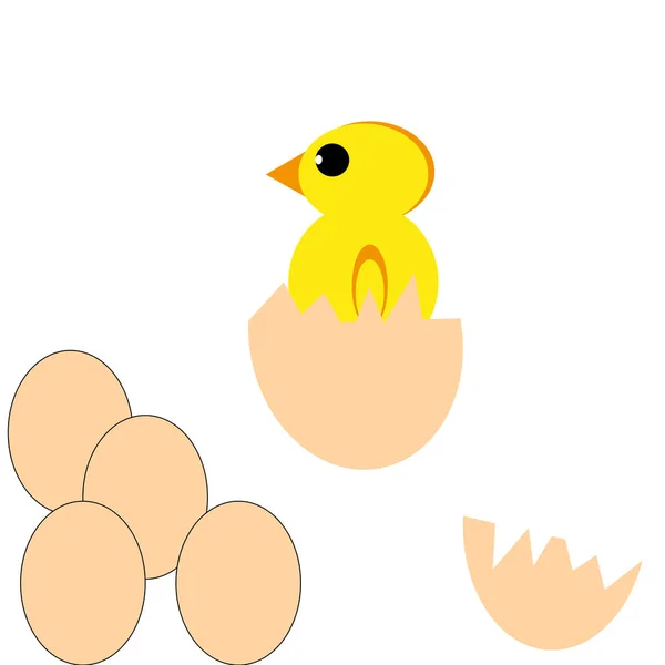 Poulet et oeufs sur fond blanc . — Image vectorielle