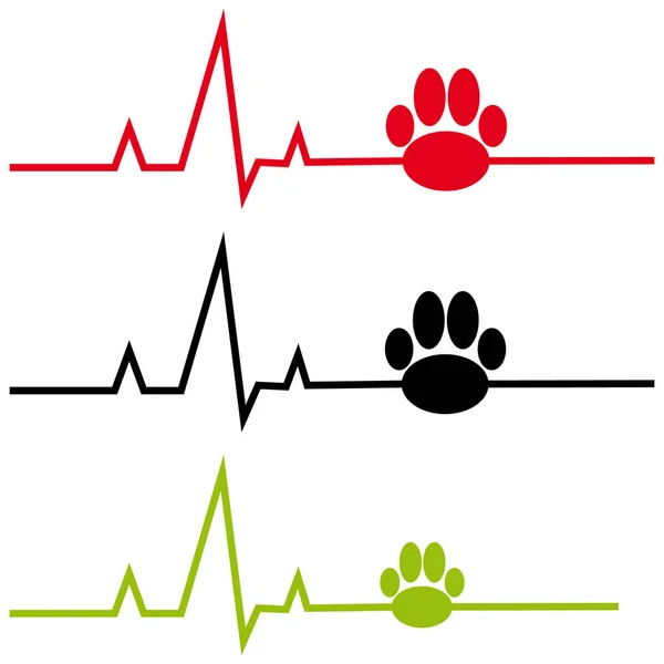 EKG ile köpek pençe beyaz arka plan üzerinde