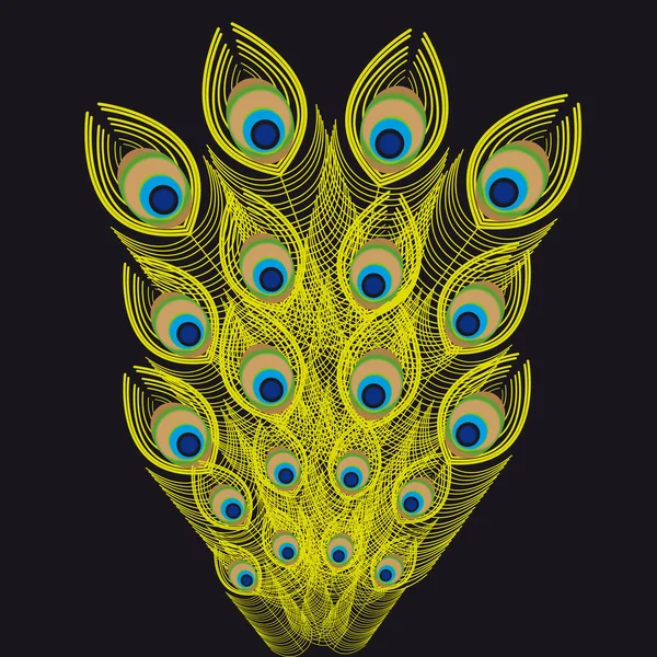 Tavus kuşu tüyü siyah arka plan üzerine.