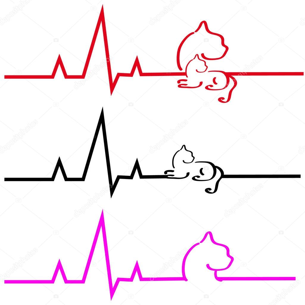 ECG with cat on white background