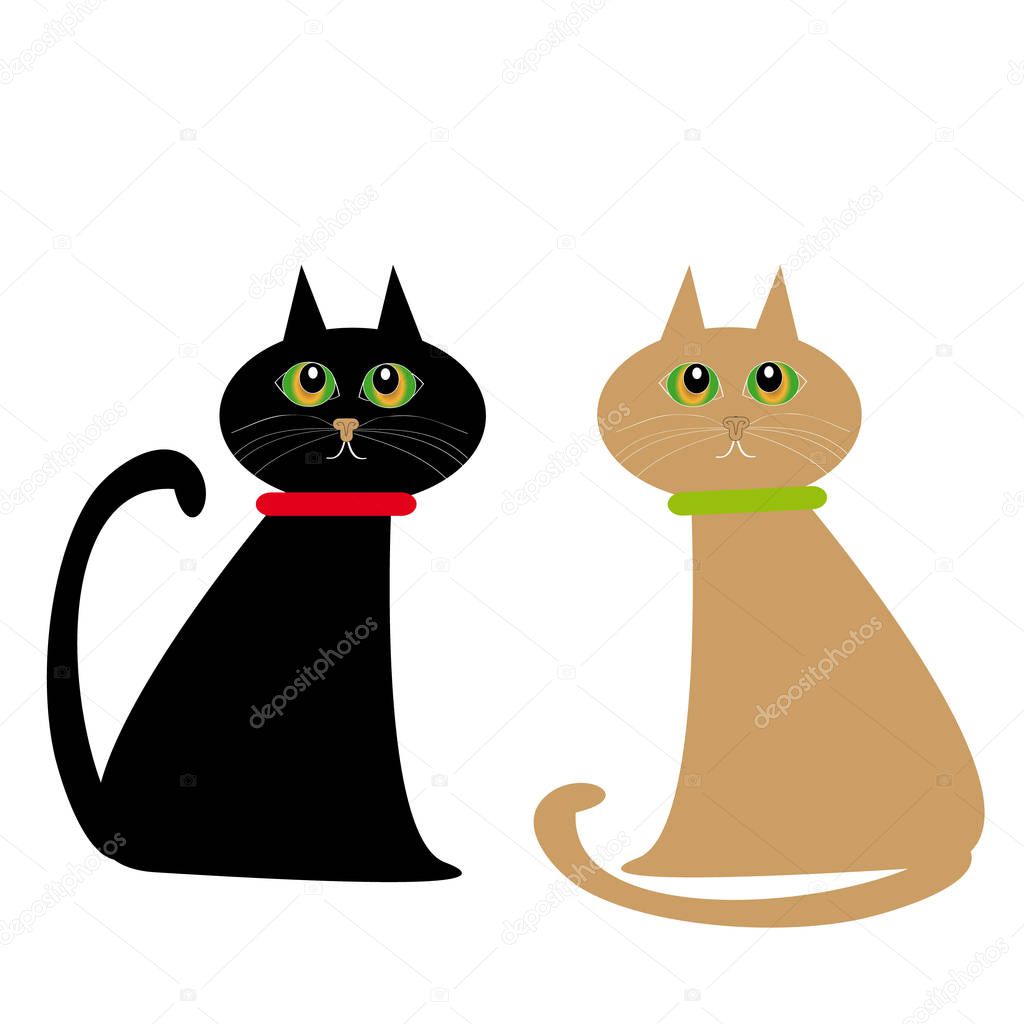 Cats on white background