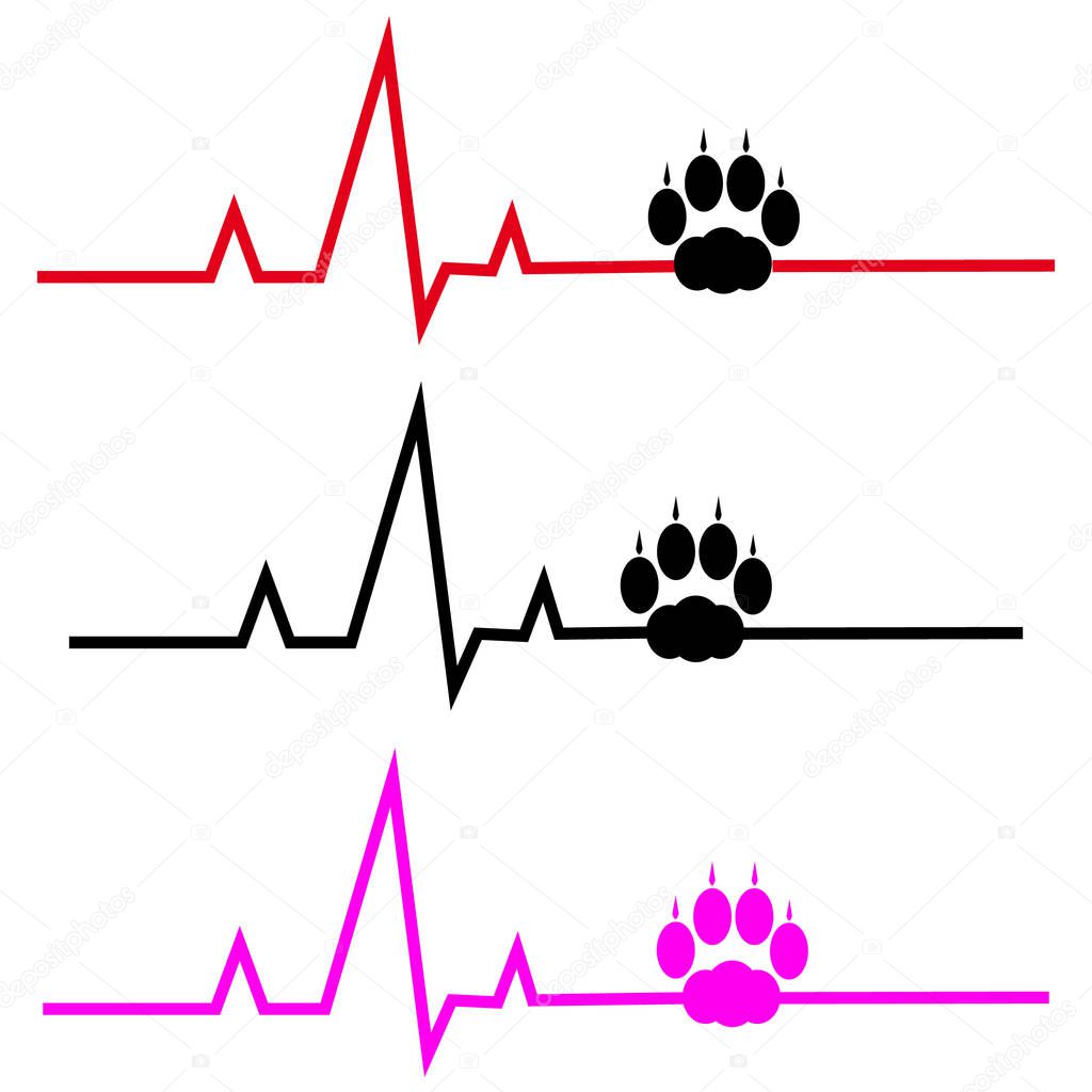 ECG with cat paw on white background