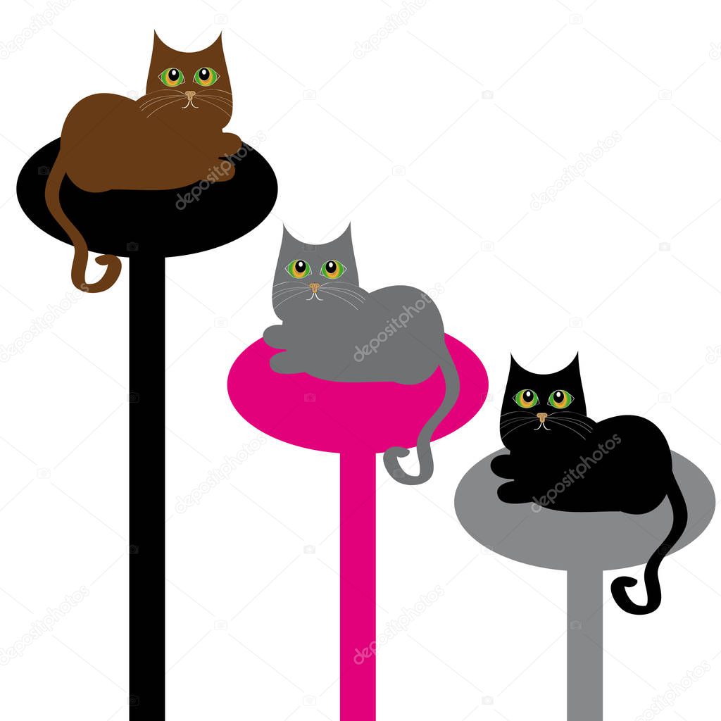 Cats relaxing on a stand on white background