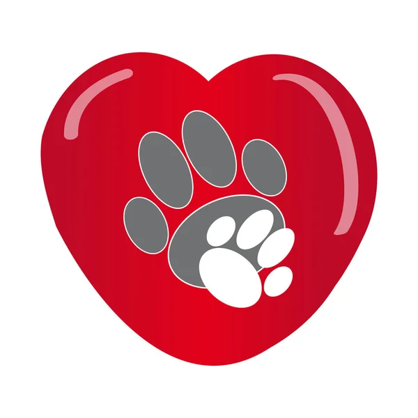 Paws with heart on white background — Stock Vector