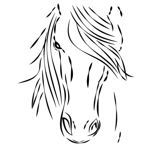 Tête de cheval sur fond blanc — Image vectorielle