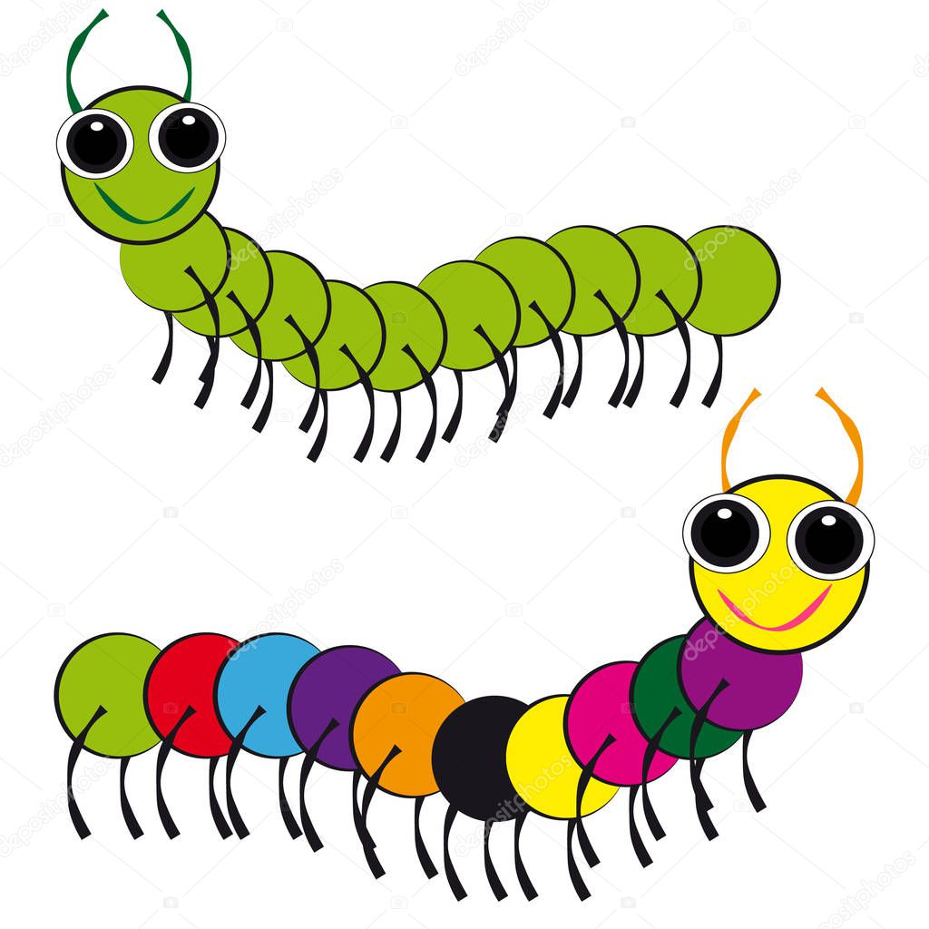 Centipedes on white background